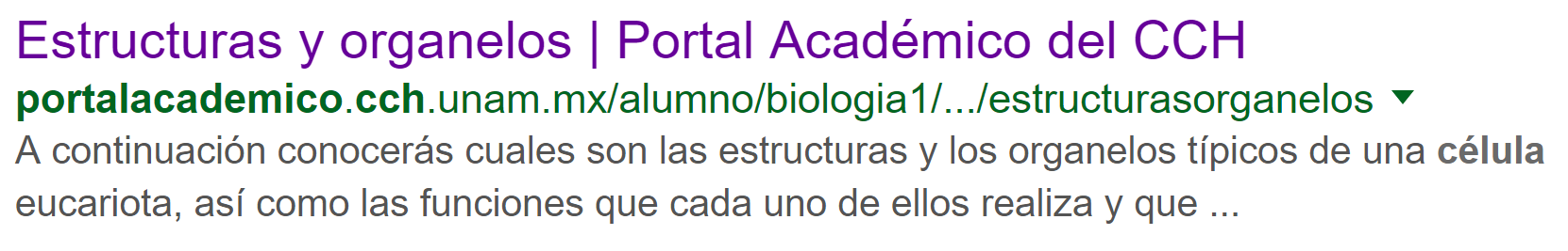 respuesta 2 